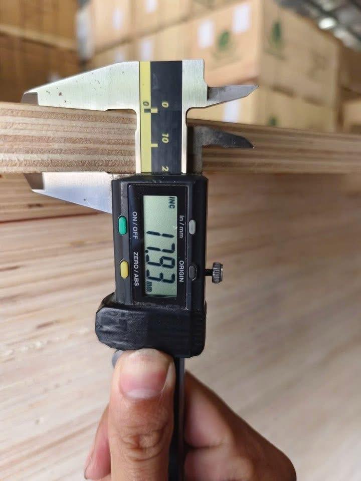 van-ep-birch-noi-that-thwood