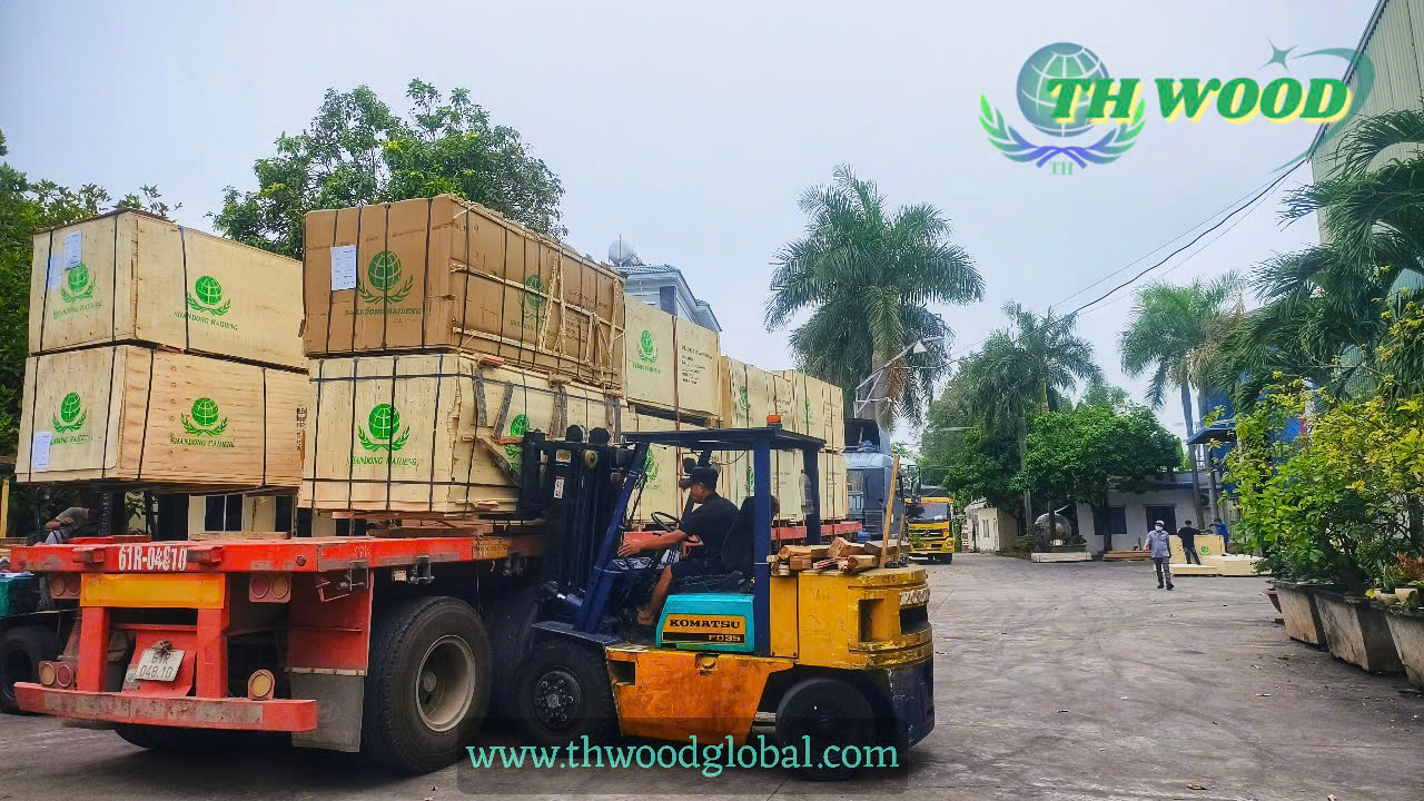 White Oak plywood veneer sồi trắng THWOOD