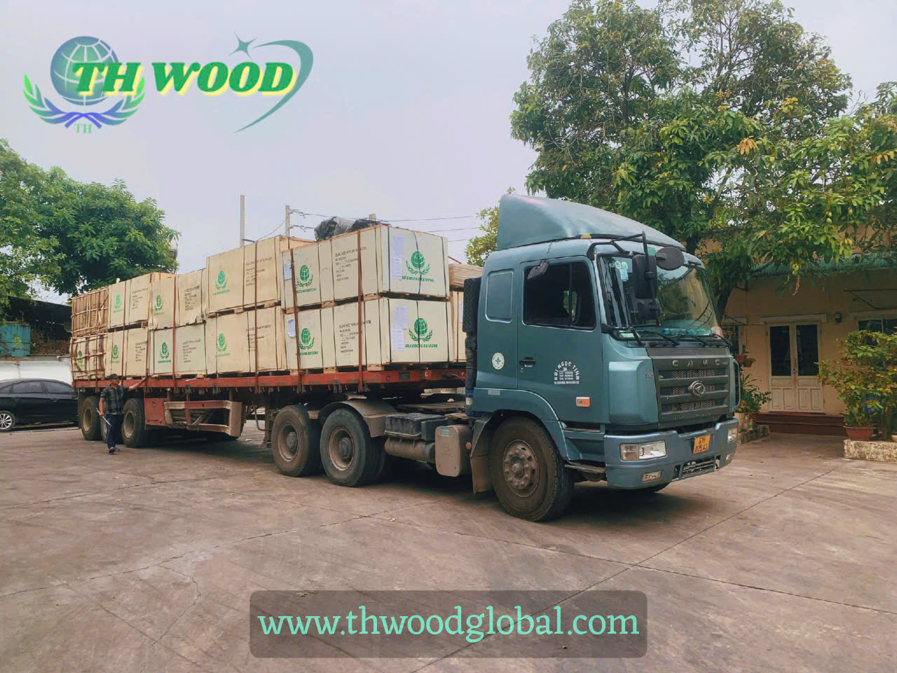 Ván ép Poplar nhập khẩu plywood lõi gỗ Poplar