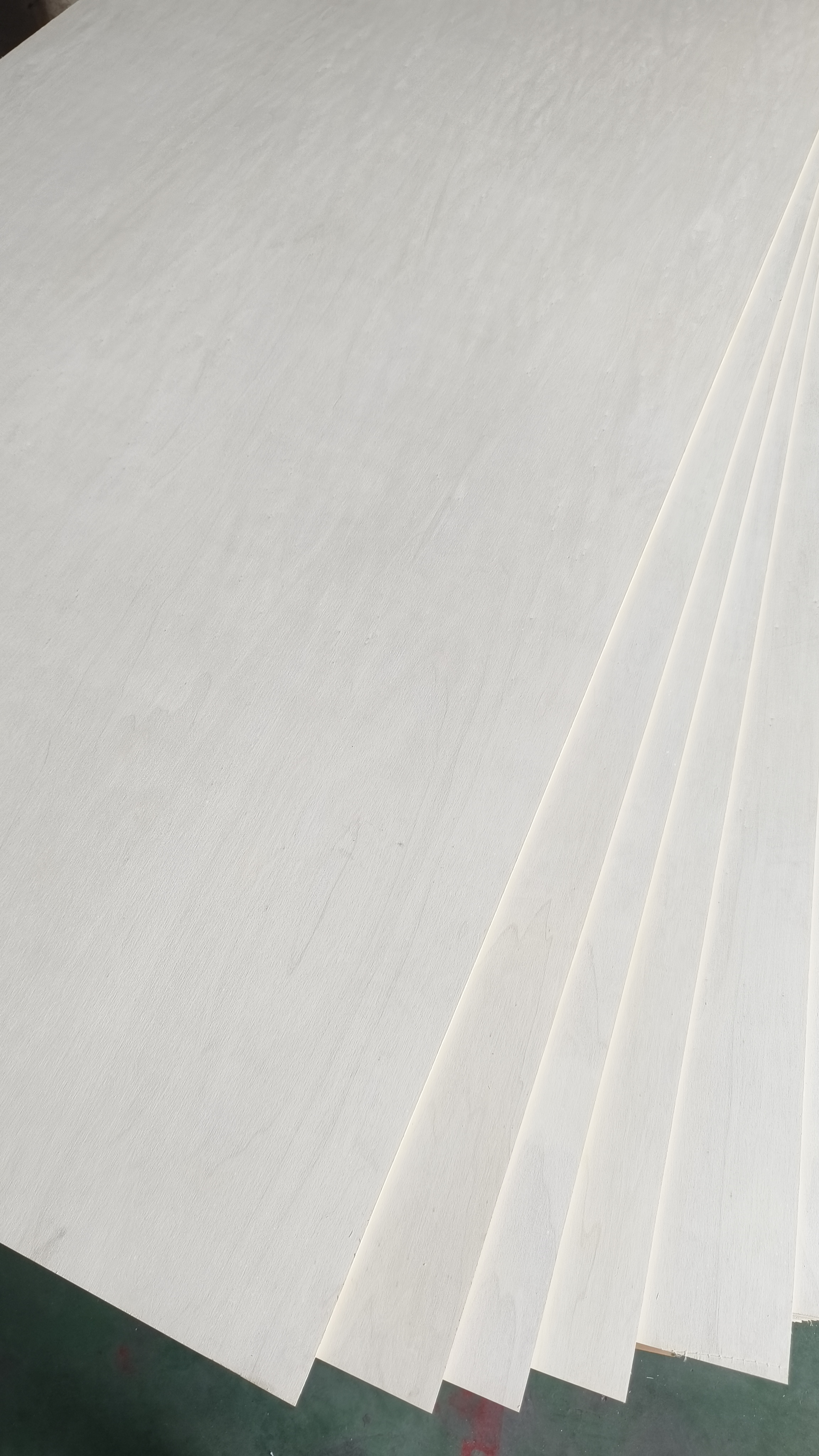 Bề mặt ván ép Poplar phẳng, dễ gia công