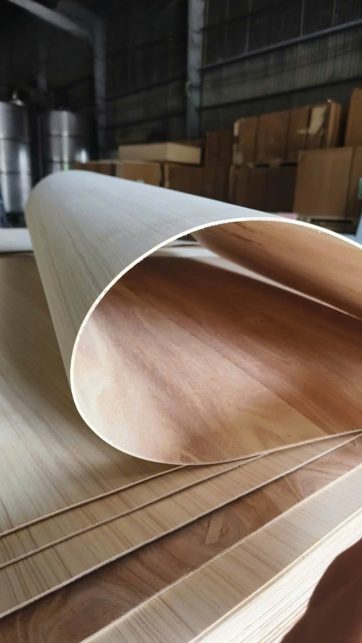 Ván ép uốn cong Bent Plywood