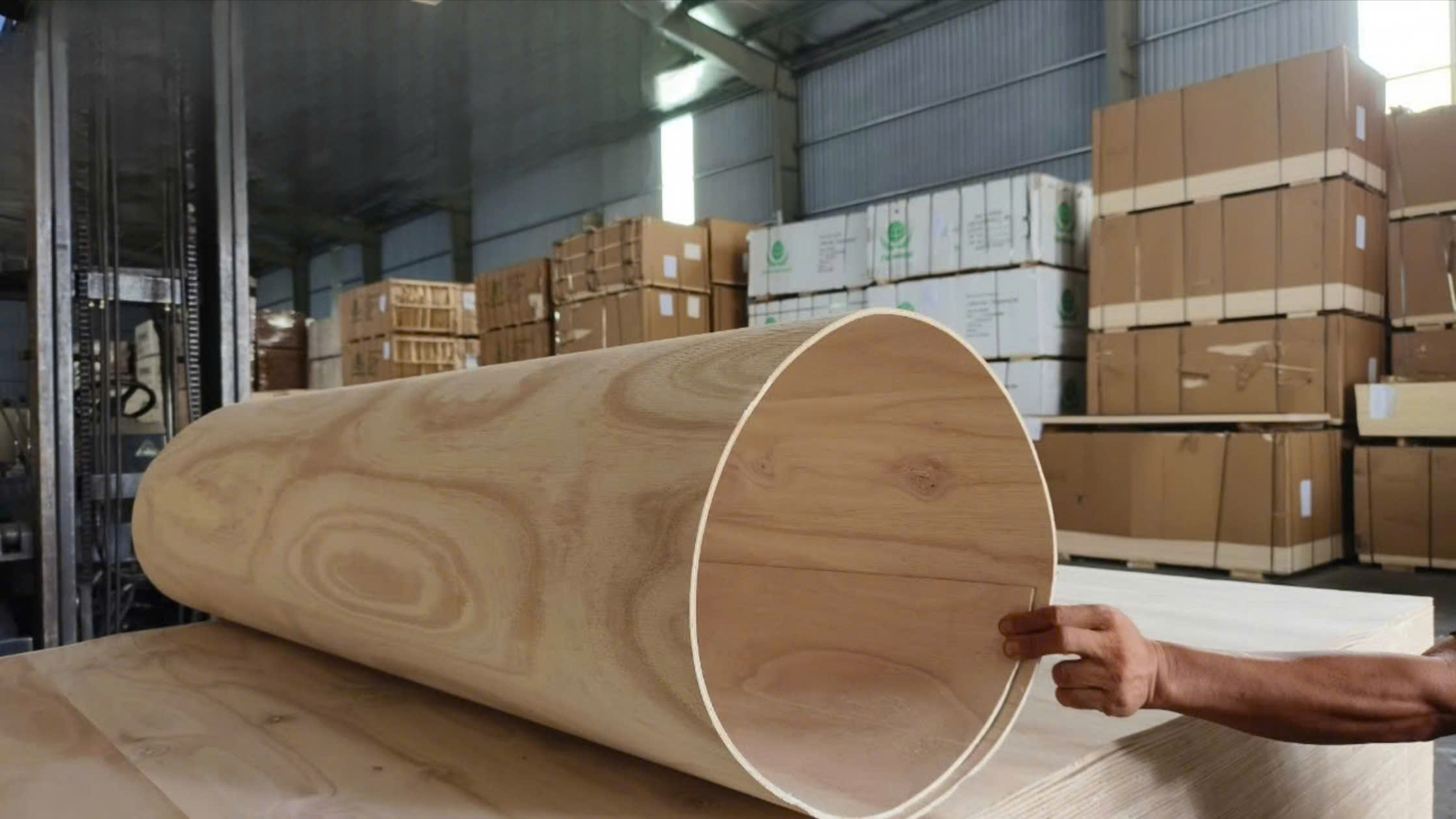 Ván ép uốn cong Bent Plywood