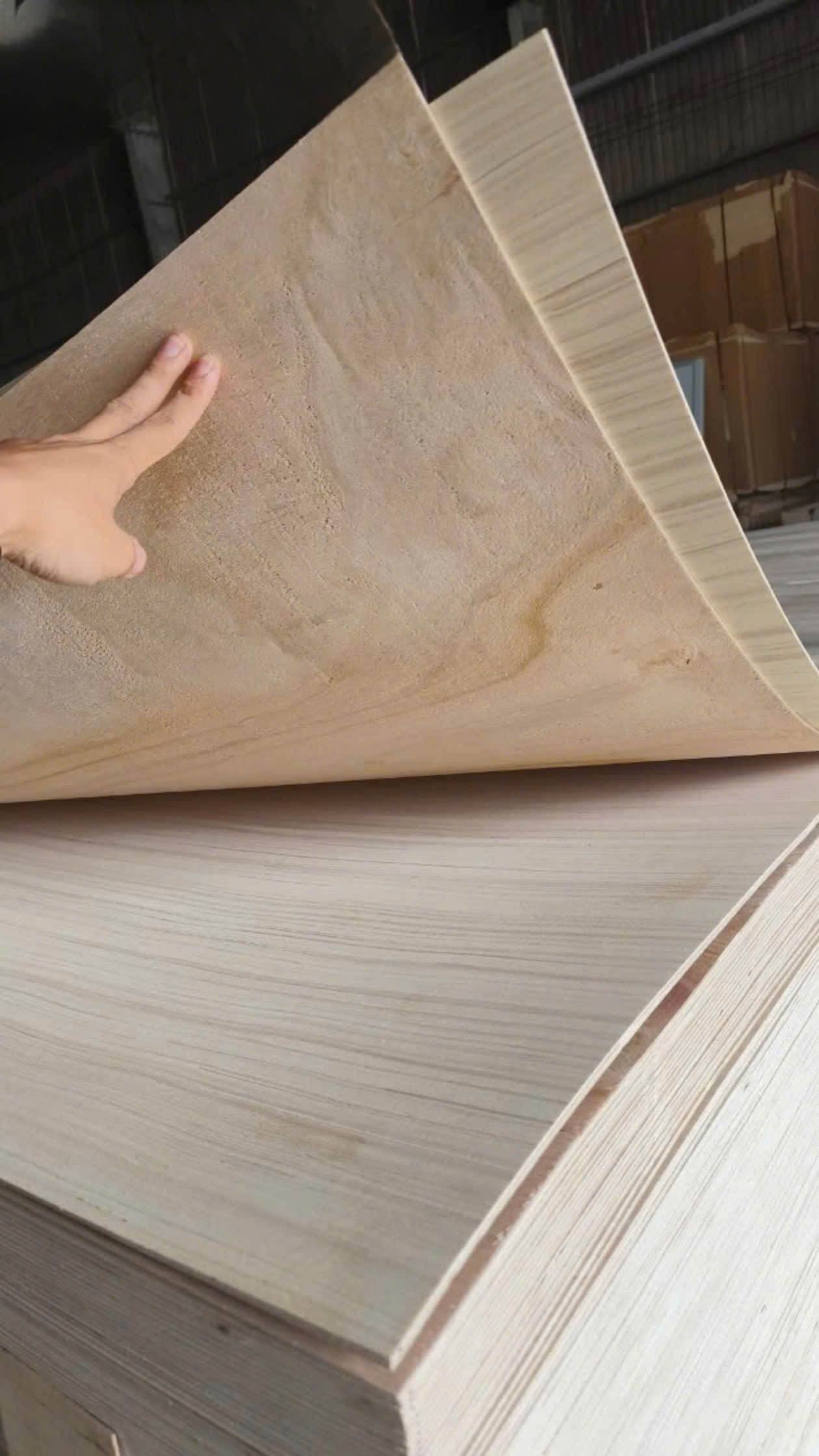 Ván plywood uốn cong nội thất